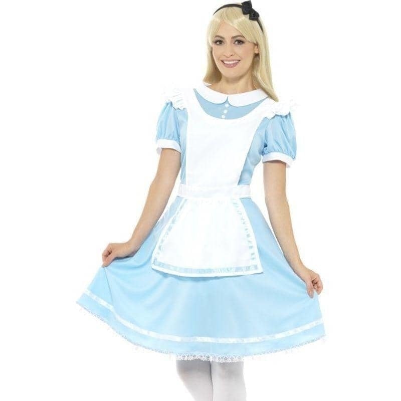 Adult Blue Dress Alice in Wonderland Princess Costume for Women